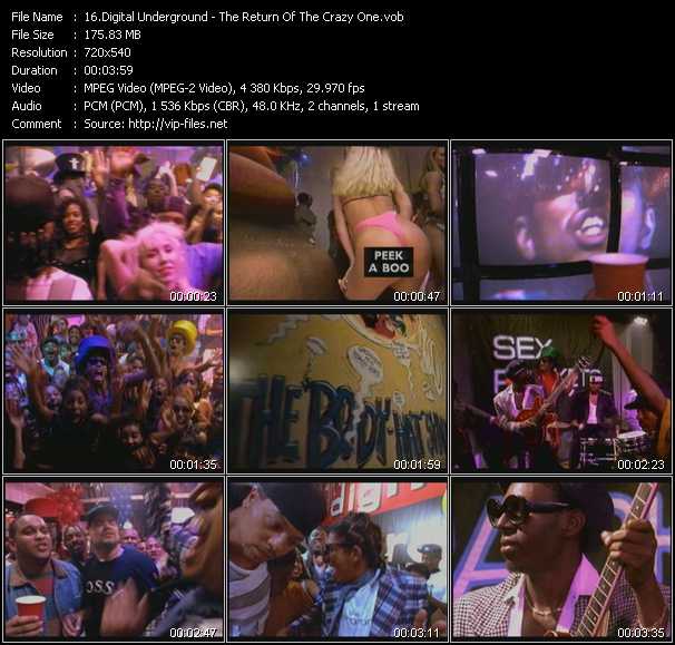 Digital Underground video ”The Return Of The Crazy One” from dvd ”Screenplay VJ-Pro Classic Vision New Jack Vol.2 January 2008”