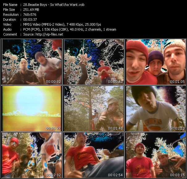 Beastie Boys video ”So What 'Cha Want” from dvd ”MixMash Urban Classics Vol.1”