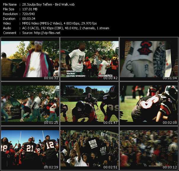 Soulja Boy Tell 'Em video ”Bird Walk” from dvd ”Rock America Urban December 2008”