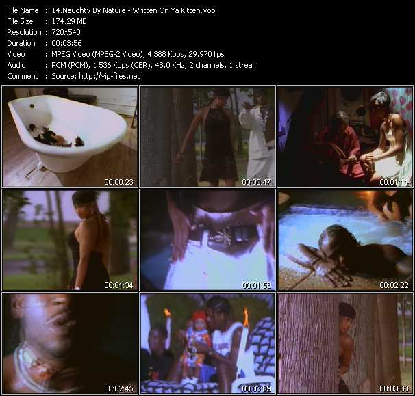 Naughty By Nature video ”Written On Ya Kitten” from dvd ”Screenplay VJ-Pro Classic Vision New Skool Vol.1 May 2007”