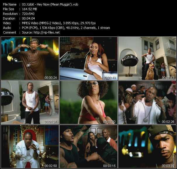 Xzibit Feat. Keri Hilson video ”Hey Now (Mean Muggin)” from dvd ”Top Hits USA Video VH-26 January 2005”