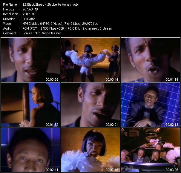 Black Sheep video ”Strobelite Honey” from dvd ”Wolfram Video 1013 Hot Video B. August 1992”