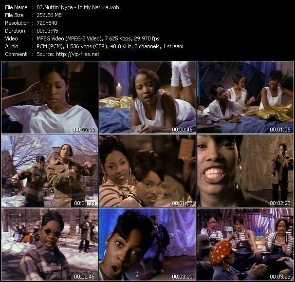 Nuttin' Nyce video ”In My Nature” from dvd ”Wolfram Video 1143 Hot Video B. August 1993”