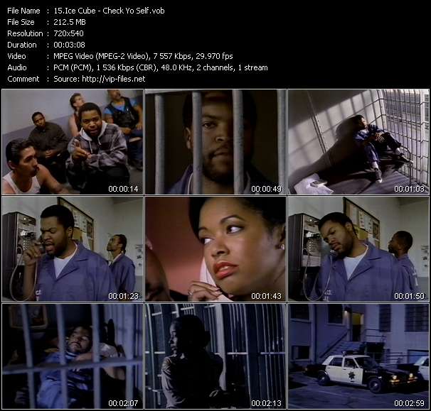 Ice Cube video ”Check Yo Self” from dvd ”Wolfram Video 1143 Hot Video B. August 1993”