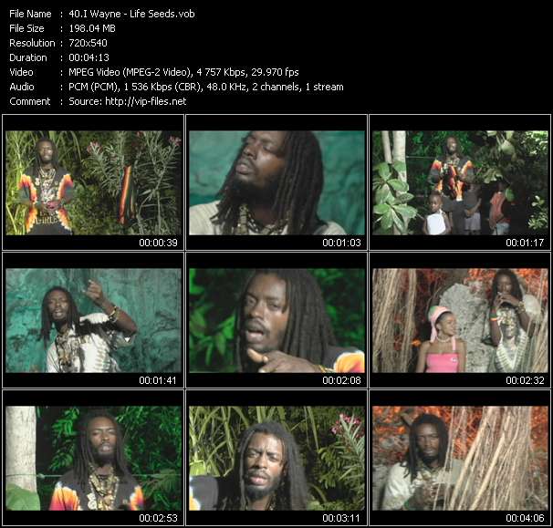 I Wayne video ”Life Seeds” from dvd ”Island Sounds Vol.2”