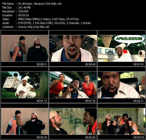 Afroman video ”Because I Got High” from dvd ”Hot Video September 2001”