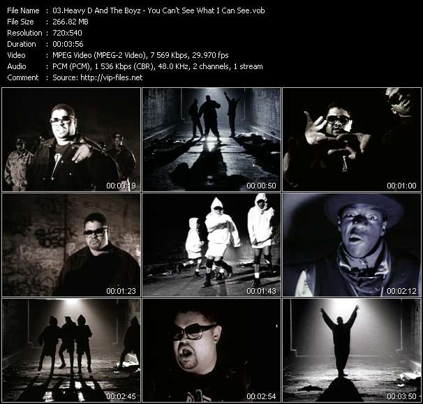 Heavy D And The Boyz video ”You Can't See What I Can See” from dvd ”Rock America Urban May 1992”