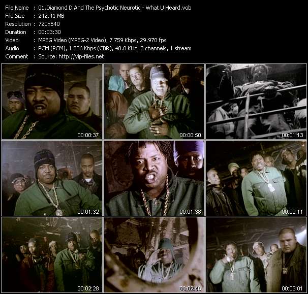 Diamond D And The Psychotic Neurotic video ”What U Heard” from dvd ”Rock America Urban June 1993”