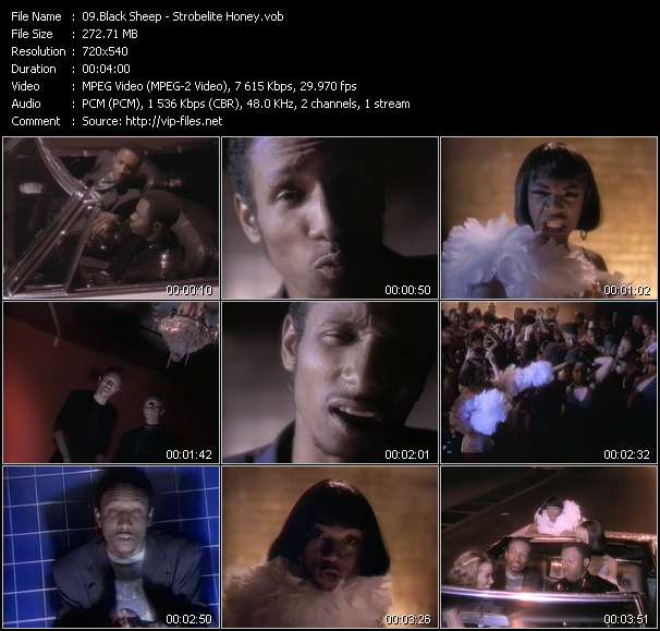 Black Sheep video ”Strobelite Honey” from dvd ”Telegenics Number 112B. Urban. July 1992”