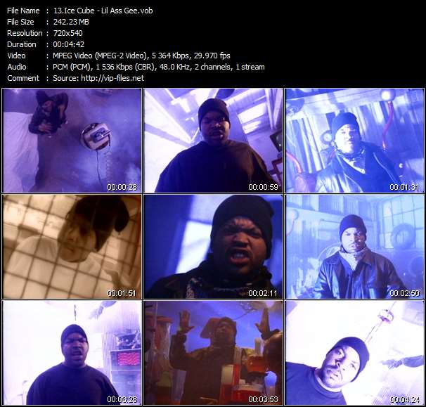 Ice Cube video ”Lil Ass Gee” from dvd ”Ice Cube. The Videos Volume 1”