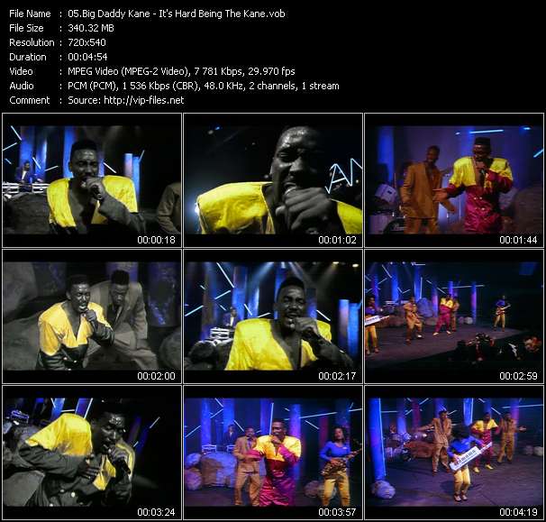 Big Daddy Kane video ”It's Hard Being The Kane” from dvd ”Rock America Urban June 1991”