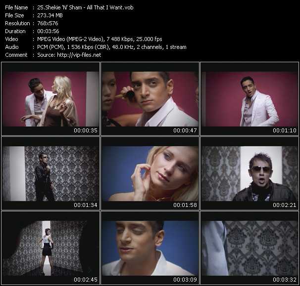 Shekie 'N' Sham video ”All That I Want” from dvd ”MixMash Urban June 2008”