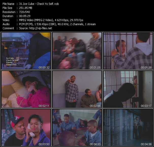 Ice Cube video ”Check Yo Self” from dvd ”Old Skool Vol.4”