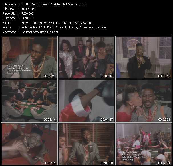 Big Daddy Kane video ”Ain't No Half Steppin'” from dvd ”Old Skool Vol.4”