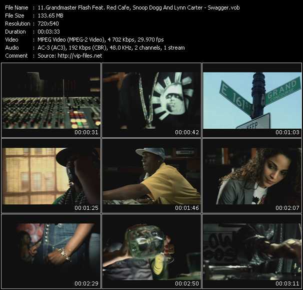 Grandmaster Flash Feat. Red Cafe, Snoop Dogg And Lynn Carter video ”Swagger” from dvd ”Rock America Urban May 2009”