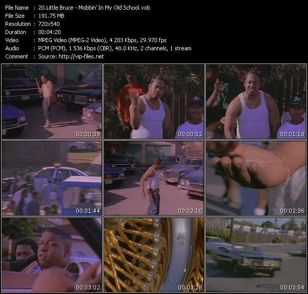 Little Bruce video ”Mobbin' In My Old School” from dvd ”Screenplay VJ-Pro Classic Vision New Skool Vol.3 July 2008”