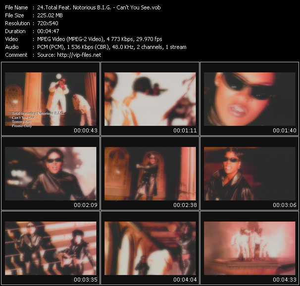Total Feat. Notorious B.I.G. video ”Can't You See” from dvd ”Old Skool Vol.5”