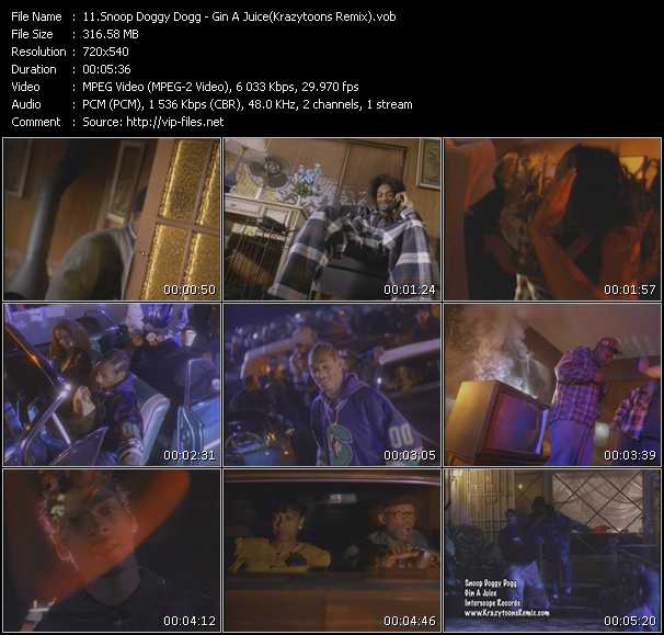 Snoop Dogg video ”Gin A Juice (Krazytoons Remix)” from dvd ”Krazytoons Remix VJ Tools Old School Classic Edition Vol.8”