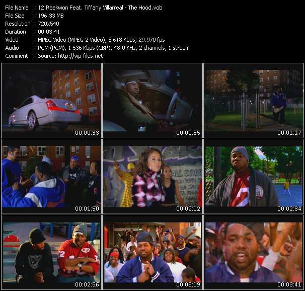 Raekwon Feat. Tiffany Villarreal video ”The Hood” from dvd ”Urban Video January 2004”
