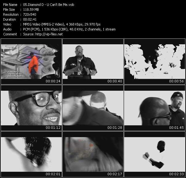 Diamond D video ”U Can't Be Me” from dvd ”Screenplay VJ-Pro Urban Vision February 2010”