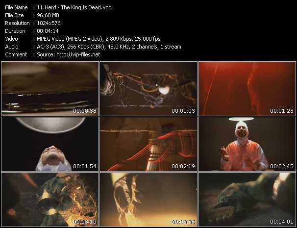 Herd video ”The King Is Dead” from dvd ”Triple J's Hottest 100 Vol.16”