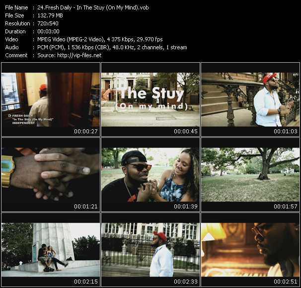 Fresh Daily video ”In The Stuy (On My Mind)” from dvd ”Screenplay VJ-Pro Urban Vision October 2010”