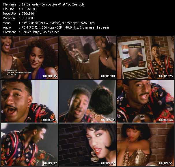 Samuelle video ”So You Like What You See” from dvd ”Screenplay VJ-Pro Classic Vision 90s RnB Vol.1 November 2010”