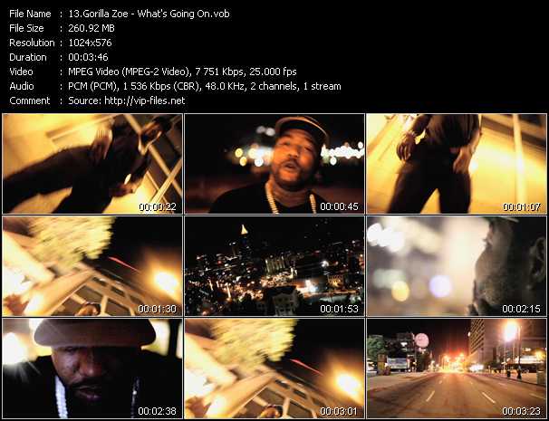 Gorilla Zoe video ”What's Going On” from dvd ”Vip-Express Videos June 2011 Vol.2”