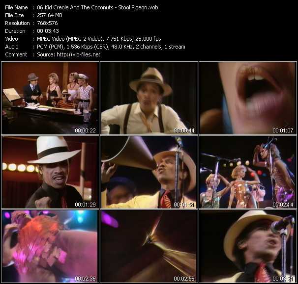 Kid Creole And The Coconuts video ”Stool Pigeon” from dvd ”MixMash 80s Classics Vol.25”