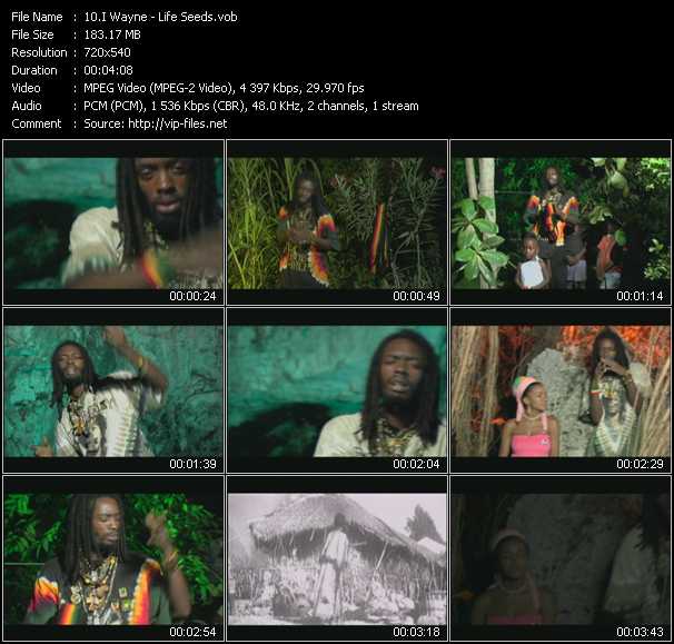 I Wayne video ”Life Seeds” from dvd ”Screenplay VJ-Pro Classic Vision Reggae Vol.2 December 2007”