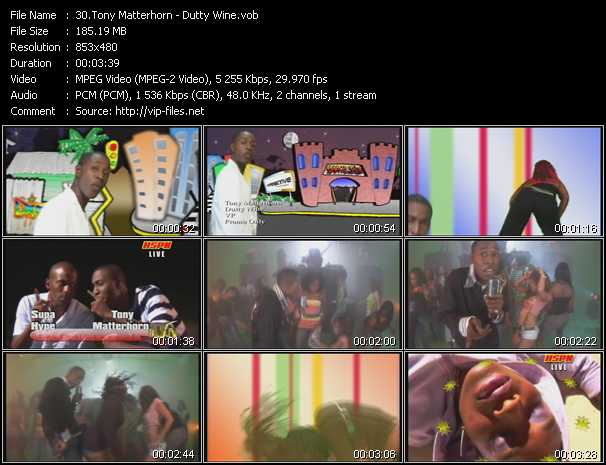 Tony Matterhorn video ”Dutty Wine” from dvd ”Island Sounds Vol.1”