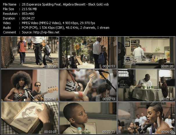 Esperanza Spalding Feat. Algebra Blessett video ”Black Gold” from dvd ”Urban Video May 2012”