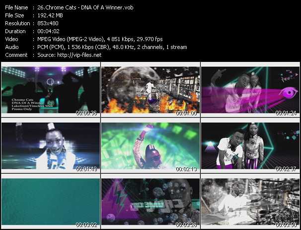 Chrome Cats video ”DNA Of A Winner” from dvd ”Urban Video September 2012”