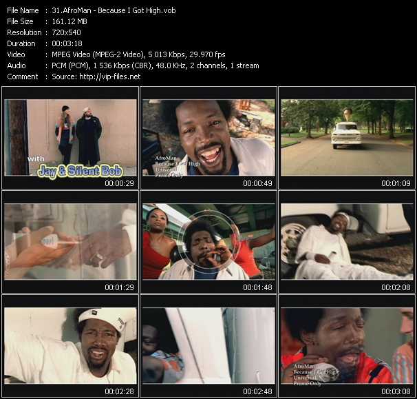 Afroman video ”Because I Got High” from dvd ”Hot Video Classics Best Of 2001 Vol.3”