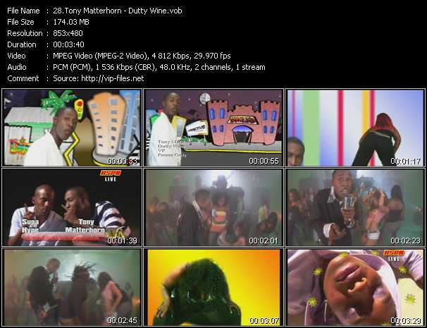 Tony Matterhorn video ”Dutty Wine” from dvd ”Hot Video Classics Best Of 2006 Vol.3”